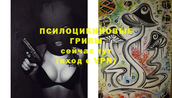 2c-b Лабытнанги