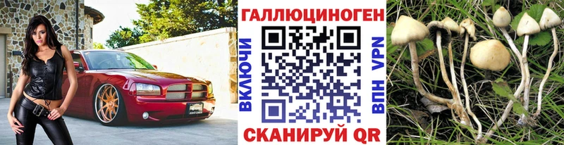 Псилоцибиновые грибы Magic Shrooms  Купить закладки  Опочка 